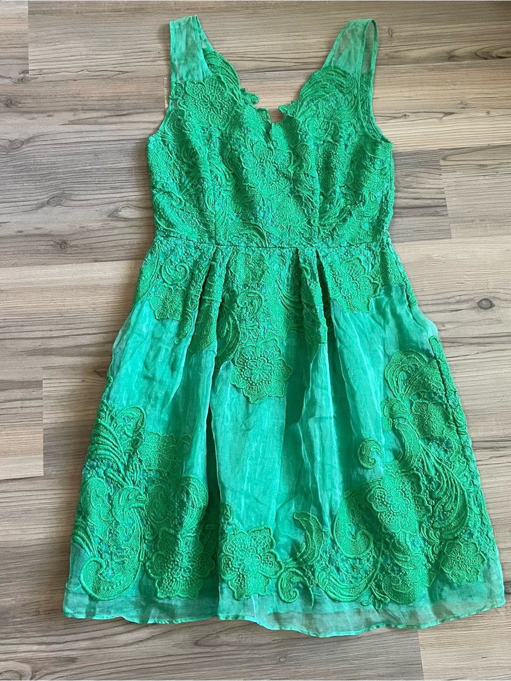 Yoana Baraschi for Anthropologie Green Lace Fit-and-Flare Dress Size 4